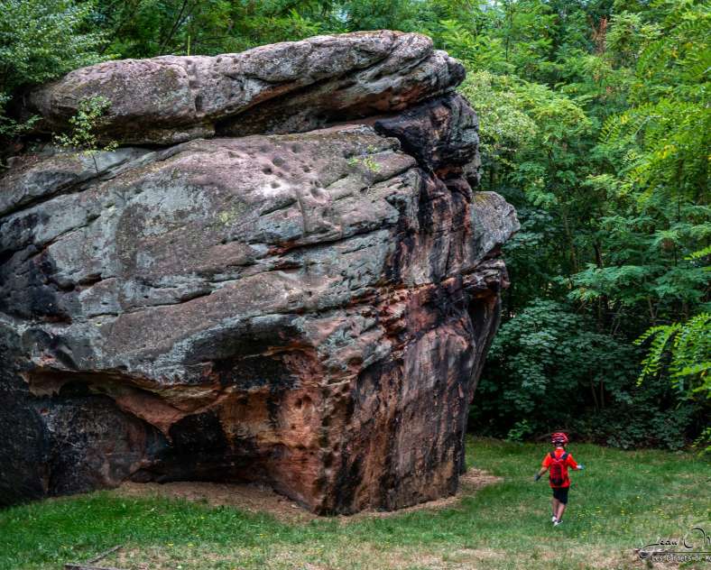 OTCCFM Le rocher du Wiselstein