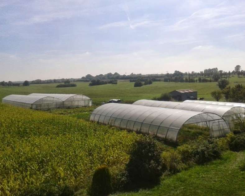 Les Jardins de Guenviller Les jardins de Guenviller
