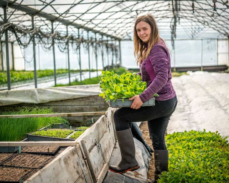 Jean-Marie GUZIK Les jardins de Guenviller