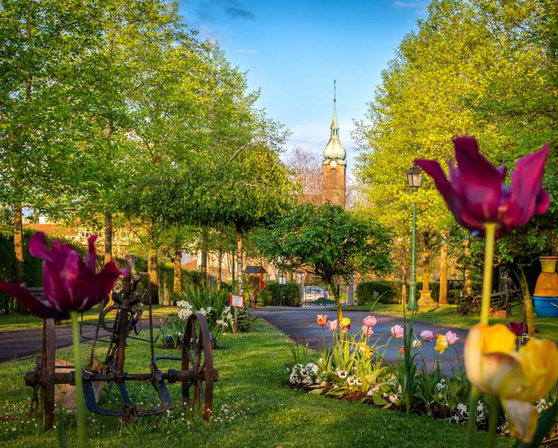 JM GUZIK Parc municipal de Freyming-Merlebach