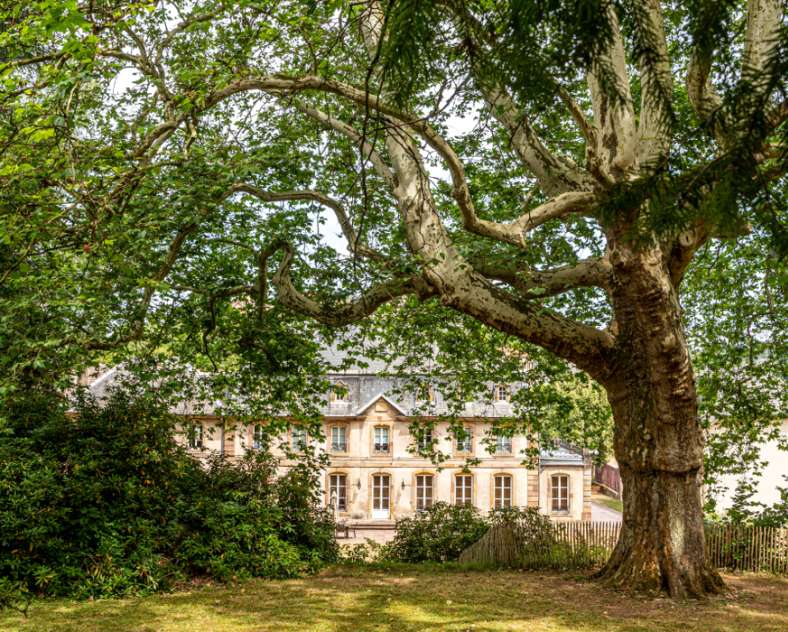 Jean-Marie GUZIK Parc du Château d'Hausen