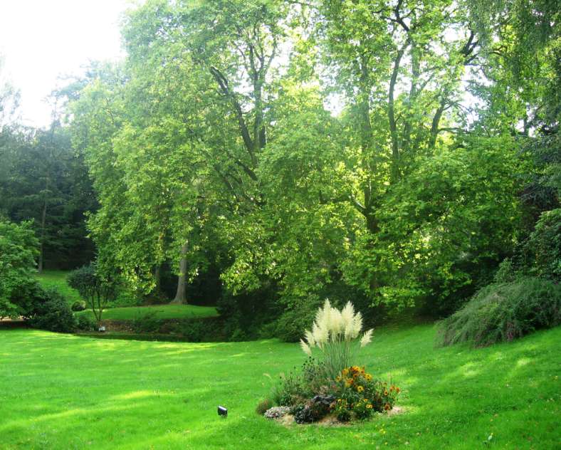 OTCCFM Parc du Château d'Hausen