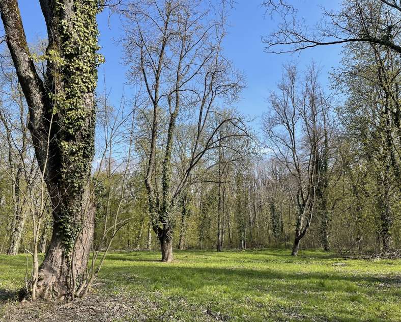 Pays Thionvillois Tourisme - EC  Illange Fort