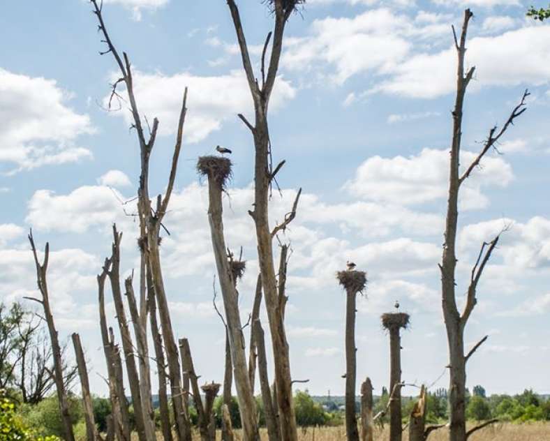 Stéphane Thévenin Boucle du Hostert