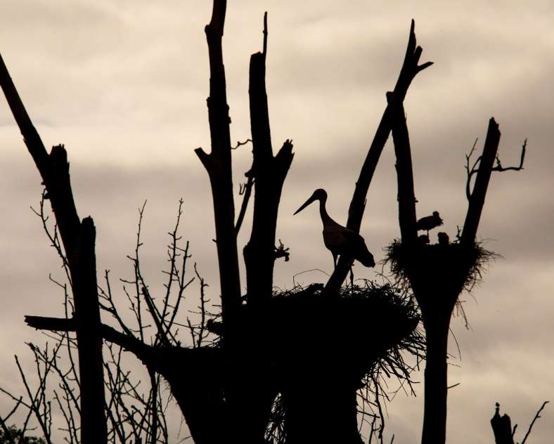 Stéphane Thévenin Boucle du Hostert