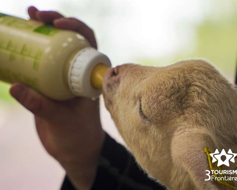 Céline MONTLAUR - Trois Frontières Tourisme Earl du Chambeyron