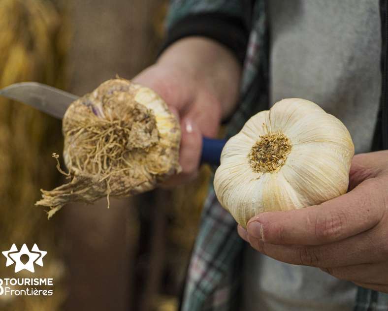 Céline MONTLAUR - Trois Frontières Tourisme Earl du Chambeyron