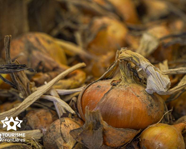 Céline MONTLAUR - Trois Frontières Tourisme Earl du Chambeyron