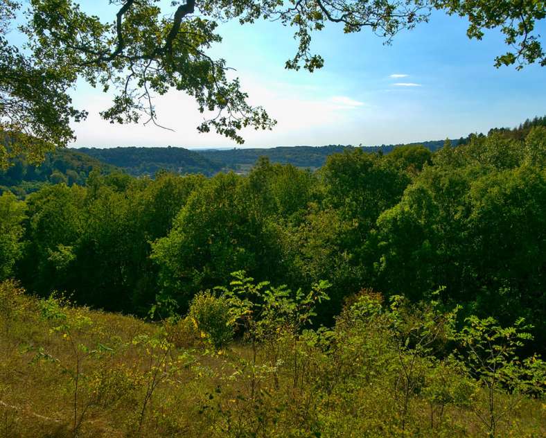 RÉSERVE NATURELLE NATIONALE DE MONTENACH