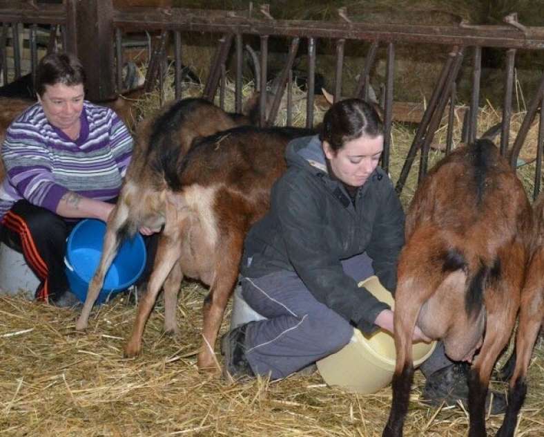 Le Républicain Lorrain Fromagerie Becker