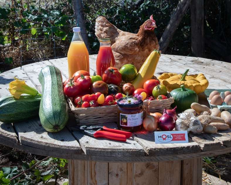 Les photos de Véro Les jardins de Popote