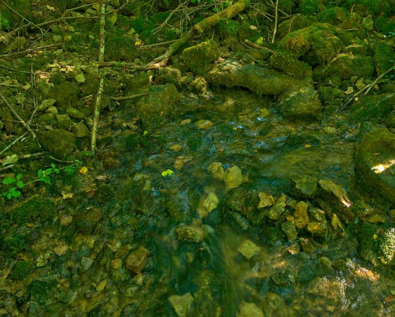 Emmanuel Stourm 2020
Licence Open Data Résurgence du Husprung