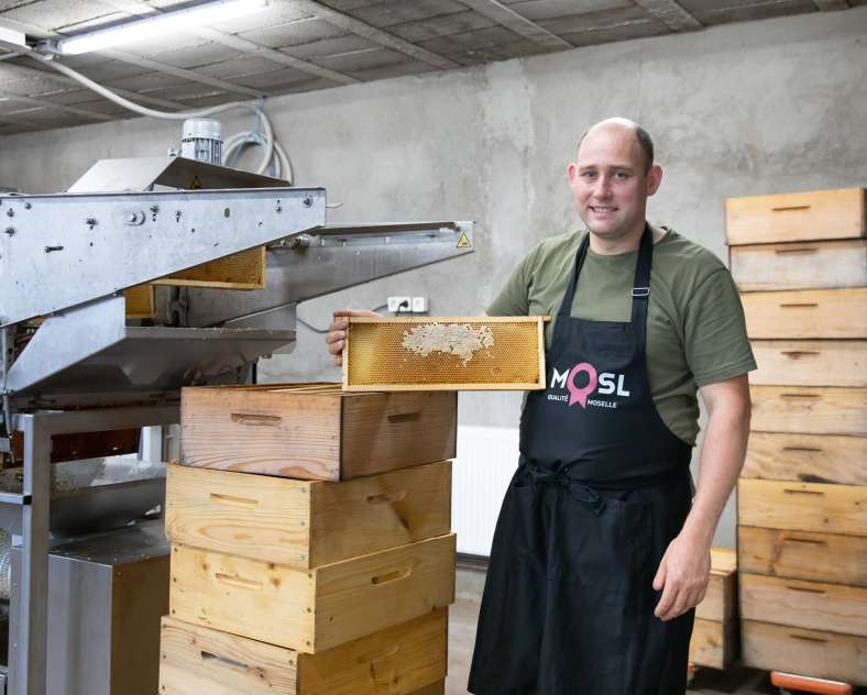 Les photos de Véro Le rucher d'olivier