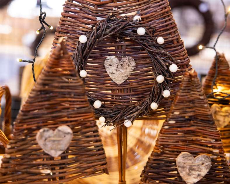 Emilie MASSON Coeur de saule