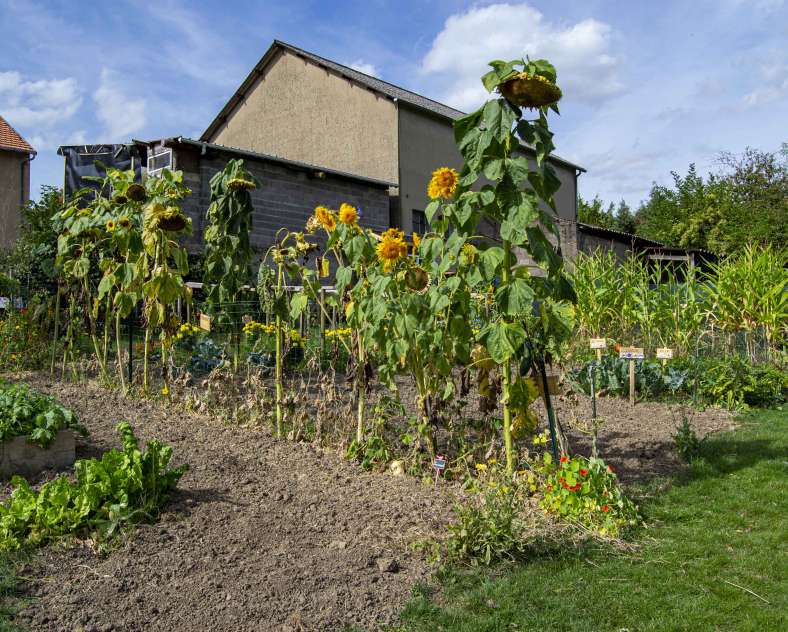 Julie Moritz - Trois Frontières Tourisme La campagne du pony ranch