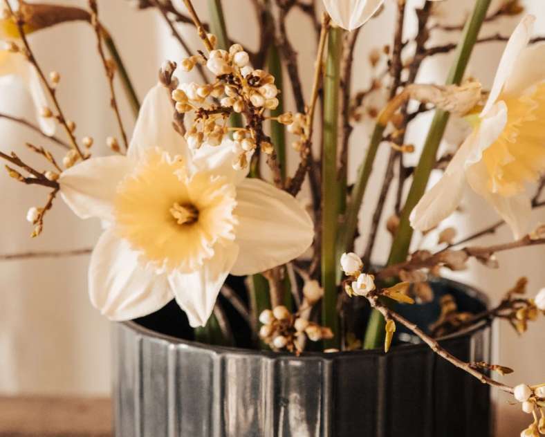 Julie Moritz - Trois Frontières Tourisme Au château fleuri