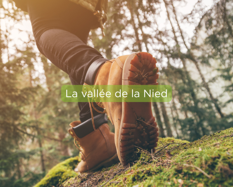 Trois Frontières Tourisme  La vallée de la Nied