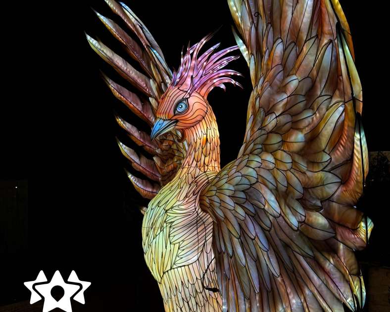 Trois Frontières Tourisme - Mélody Hopfner Marché de Noël de Bouzonville