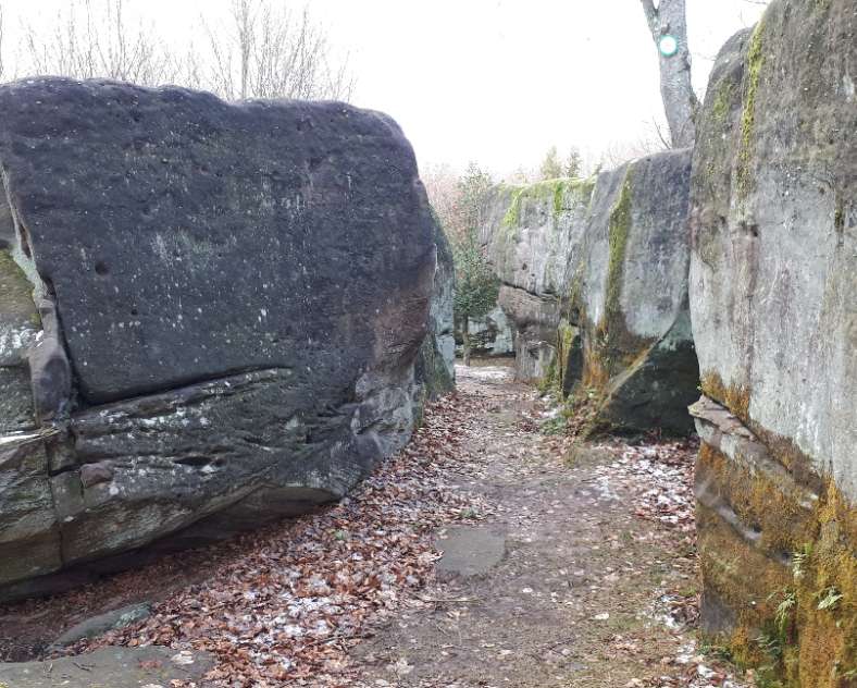 Pays de Phalsbourg Tourisme Escalade au Rocher Lorenzo