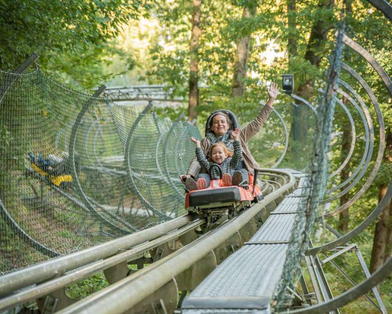 LUGE ALPINE COASTER