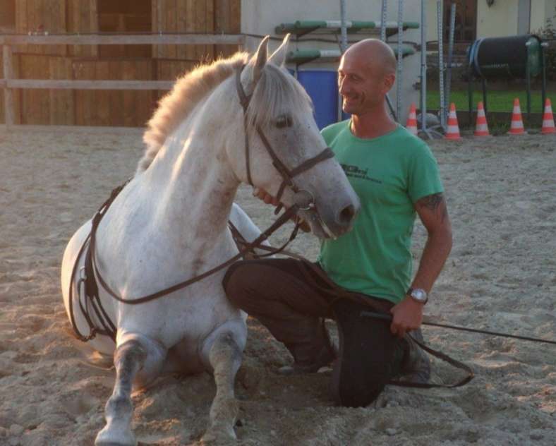 Cavaleria  Écurie des Amazones