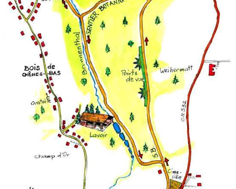 Paul KITTEL  Sentier botanique du Brunnenthal