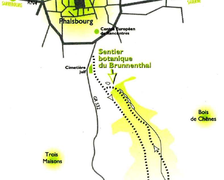 Paul KITTEL  Sentier botanique du Brunnenthal