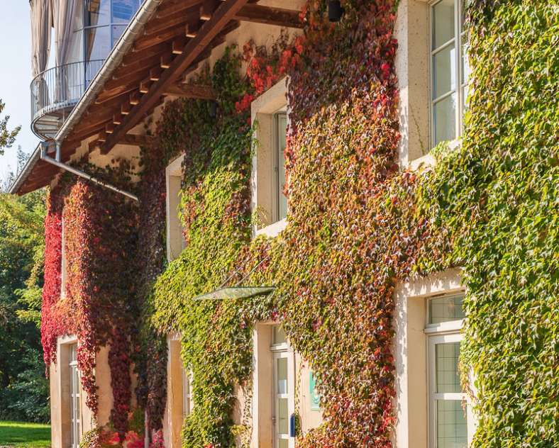 Ville de Phalsbourg Les Gîtes du Château - Anna Maria