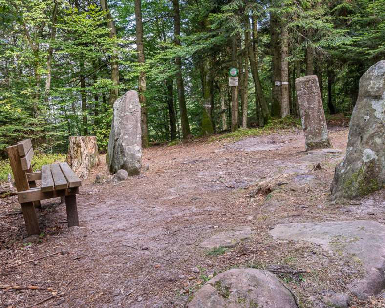 Patrice BUCHER Borne Saint-Martin