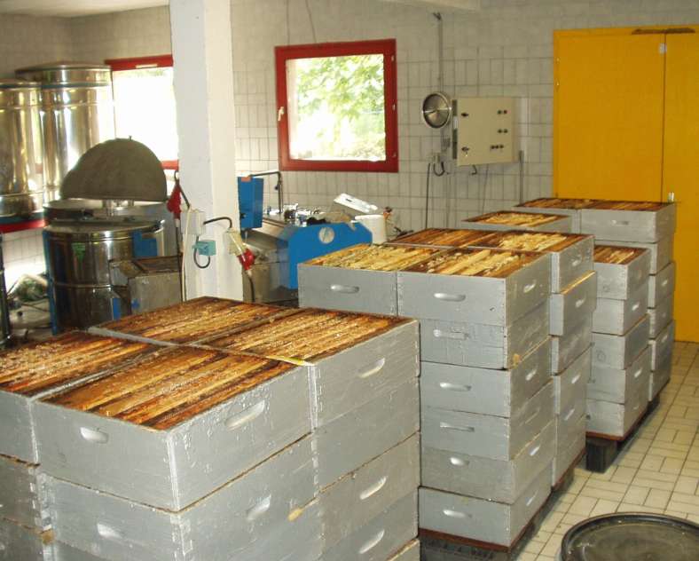 GAEC LIMON Famille Limon - Apiculteur