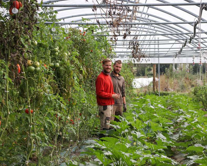 Lid Sirkis  Dieudonné - Frères & Terre