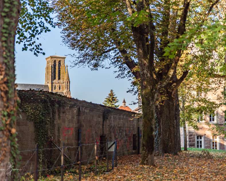 Patrice BUCHER – OT du Pays de Phalsbourg Ville de Phalsbourg