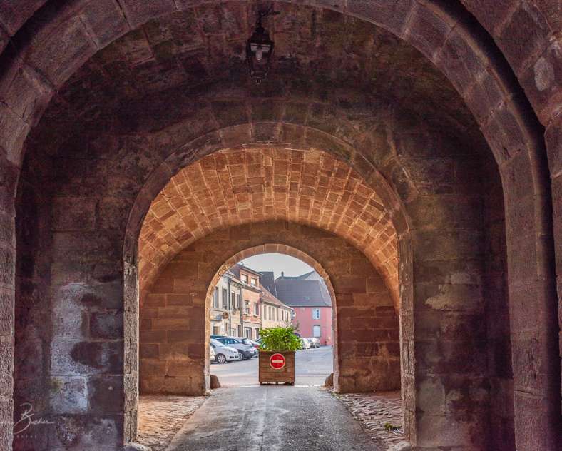 Patrice BUCHER – OT du Pays de Phalsbourg Porte de France