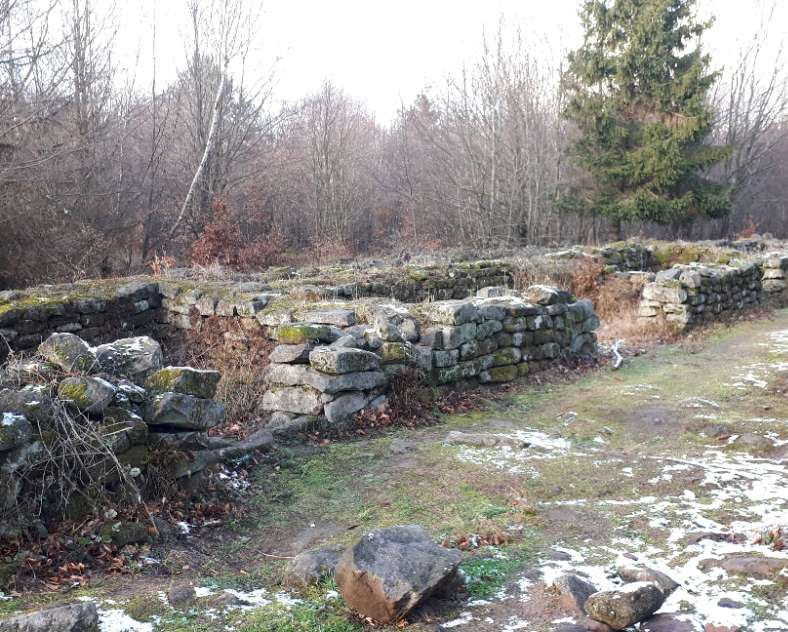 Pays de Phalsbourg Tourisme Vestiges gallo-romains du Wasserwald