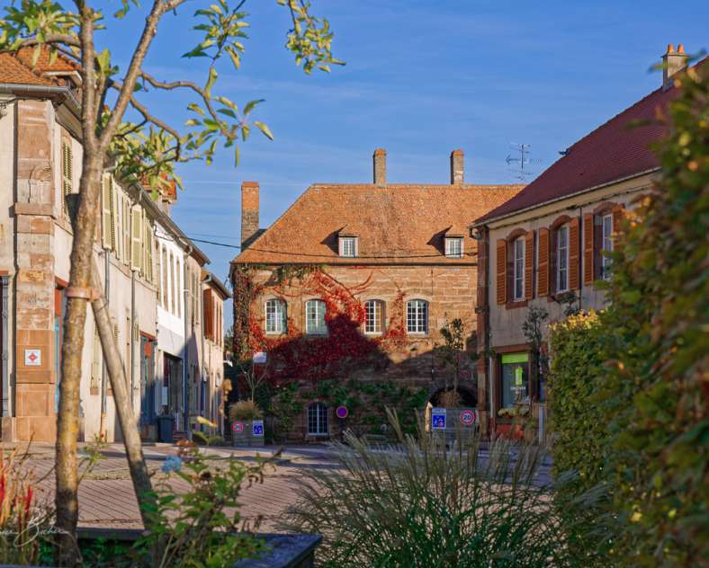 Patrice Bucher - OT Pays de Phalsbourg Porte d'Allemagne