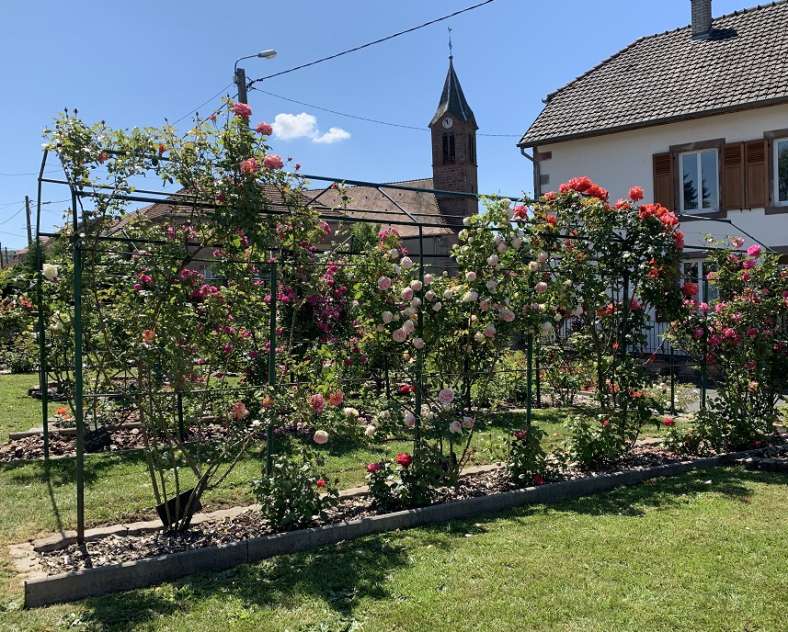 JARDIN DES ROSES