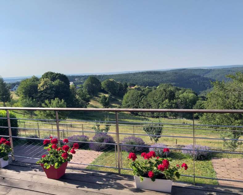 Francine  Gîte les Oiseaux