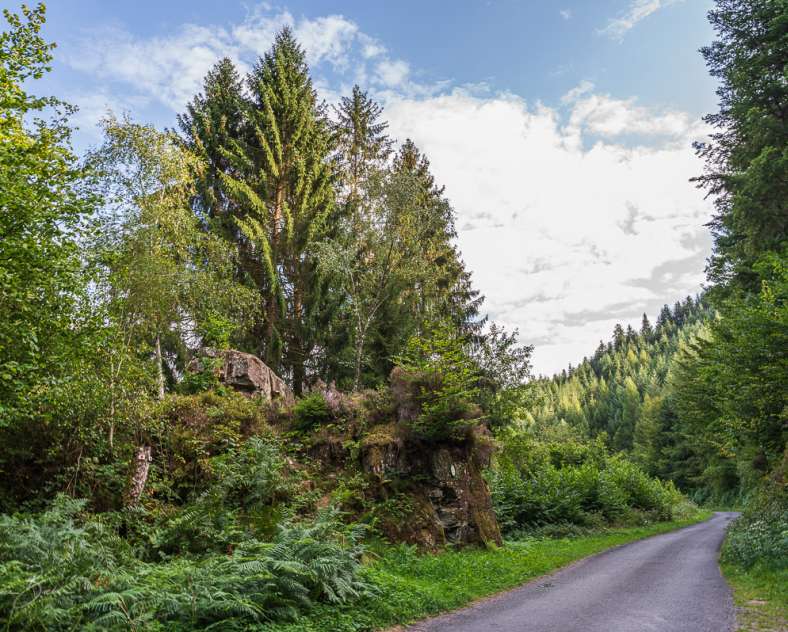 Patrice BUCHER Circuit la table de la Paie et le Jaegerhof