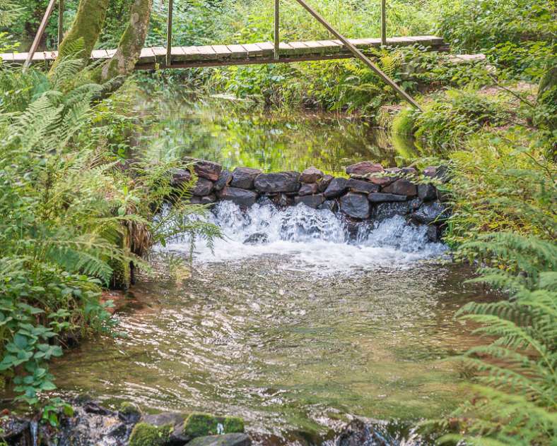 Patrice BUCHER Circuit la table de la Paie et le Jaegerhof