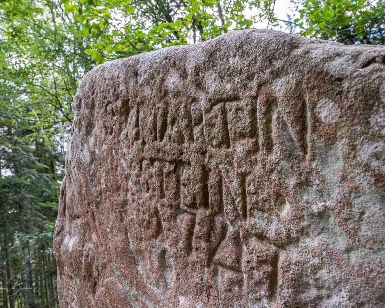 Patrice BUCHER Sentier des bornes