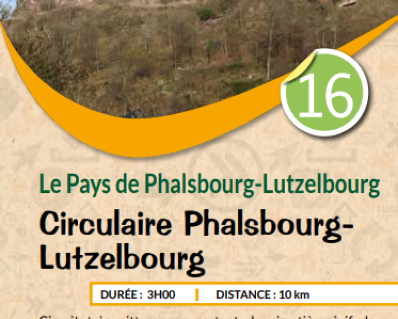 PETR  Circulaire Phalsbourg-Lutzelbourg
