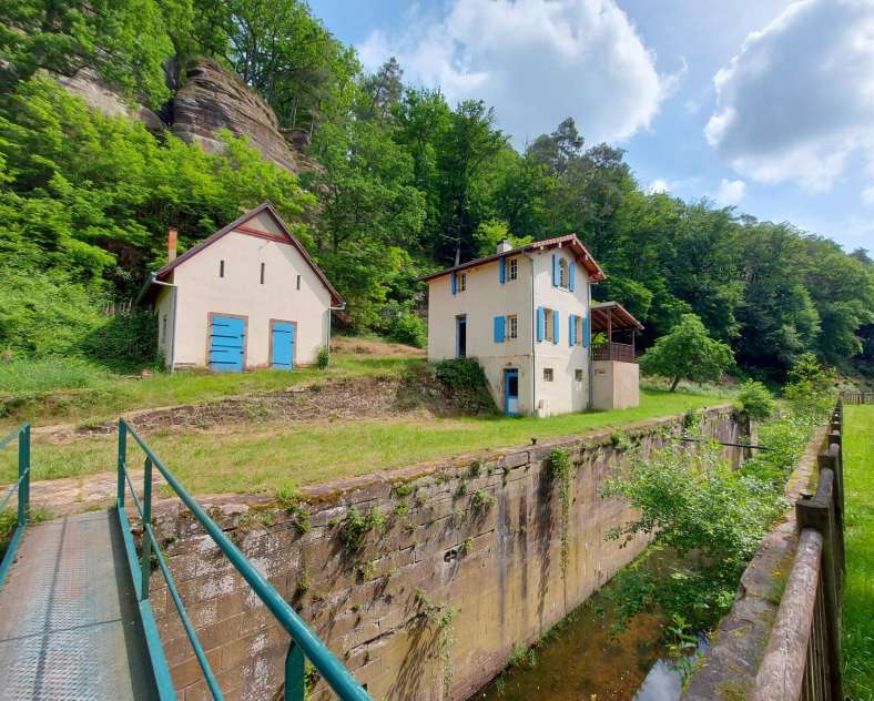 Wallycolor Wallycolor - artiste peintre