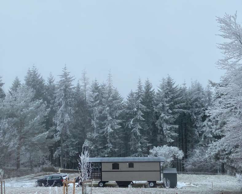 stock daniel Roulotte Au Rendez-vous des Geais