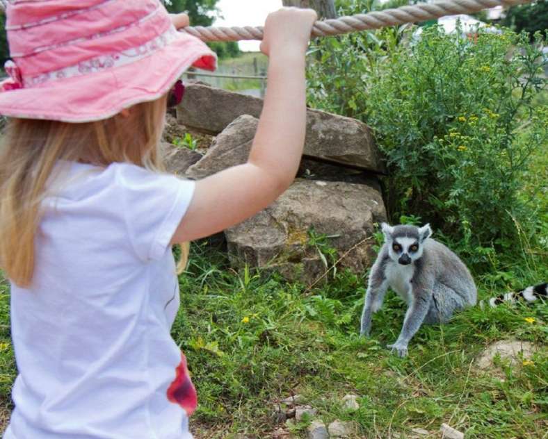 Parc animalier de Ste Croix - Morgane Bricard Sainte-Croix animal park