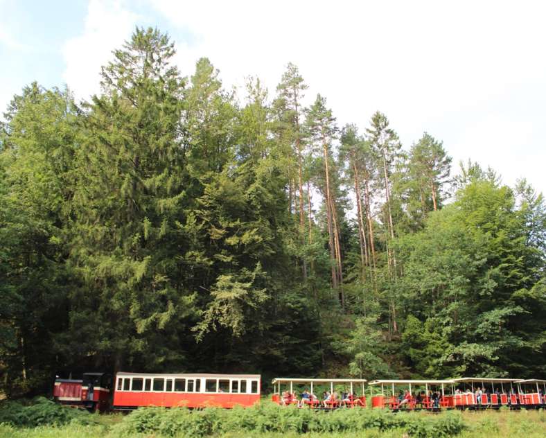 Train forestier Abreschviller Forest railway Abreschviller
