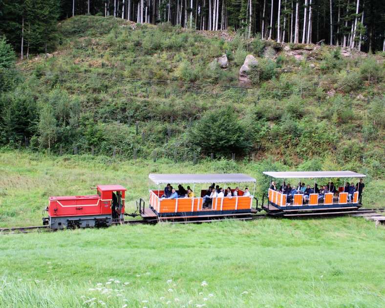 Train forestier Abreschviller Forest railway Abreschviller