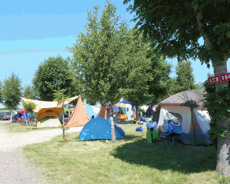 WALZER Jean-Pierre - SI Gondrexange Campsite les Mouettes