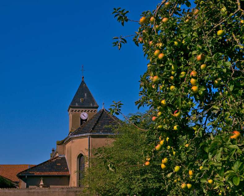 D.Manzi Fresques - Église Saint-Pierre et Saint-Paul