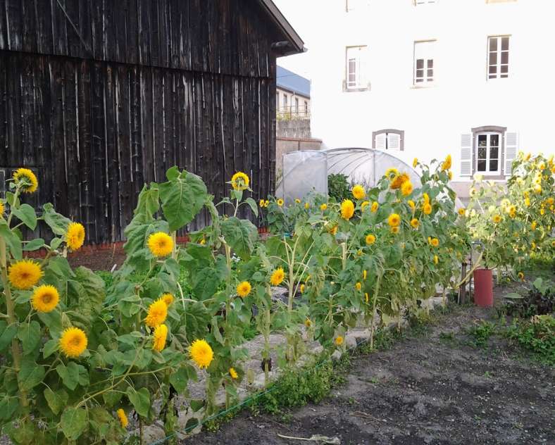 Couvent Saint Jean de Bassel Couvent de Saint-Jean de Bassel