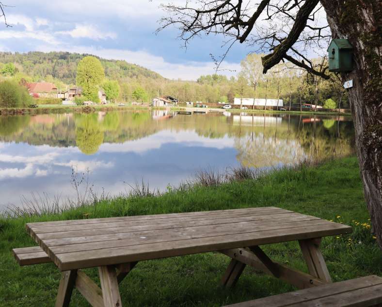 TSMS - A. Muller Pond of the Forge